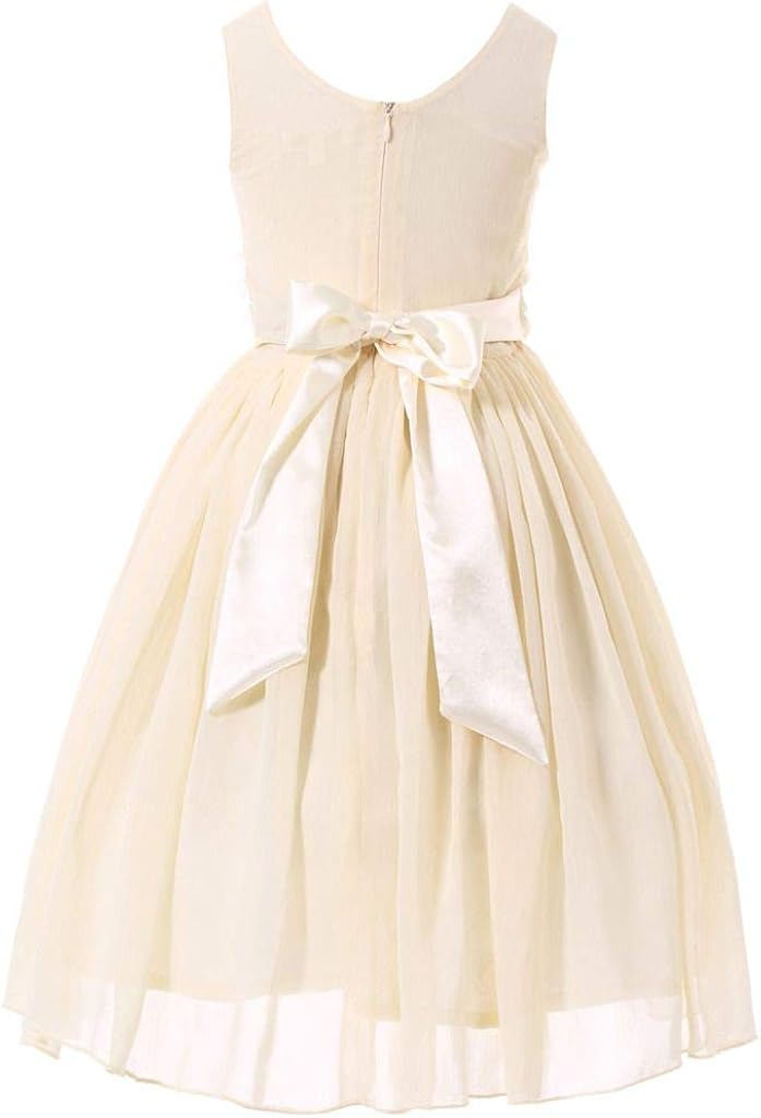 Bow Dream Junior Bridesmaids V-Neckline Chiffon Flower Girl Dress: Clothing, Shoes & Jewelry