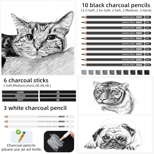 GETHPEN 27 Piece Charcoal Drawing Set - Professional Black & White Charcoal Pencils for Sketching, Shading & Blending, Graphite Sticks with Artist Art Supplies Kit (Beginners & Professionals)