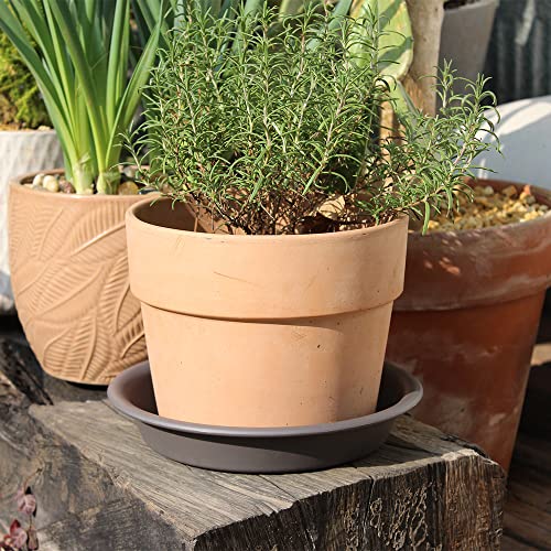 Bangqiao 12 Pack 7.00 Inch Plastic Round Plant Pot Saucer Drip Tray For Indoor And Outdoor Plants, Gray #TOP3