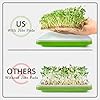 Microgreens Growing Trays with Lids and Coconut Fiber Mat,Seed Sprouter Tray with Drain Holes,Seed Starter Tray Reusable,Microgreens Growing Trays,Cat Grass Growing Kit for Indoor Cats (Pack 5) #1