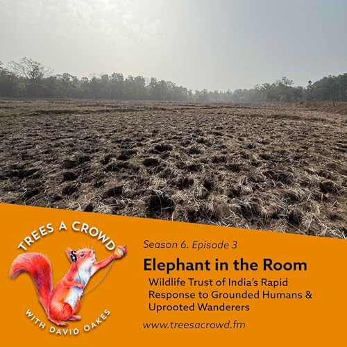 Elephant in the Room: Wildlife Trust of India&rsquo;s Rapid Response to Grounded Humans & Uprooted Wanderers