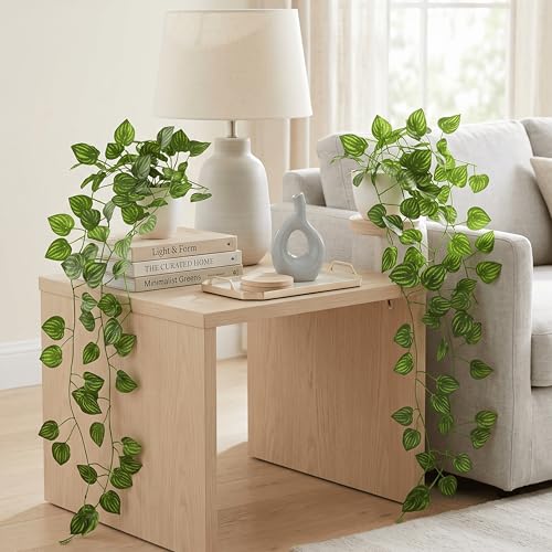 Image of Dekorly Artificial Hanging Garland with Pot - 100cm Rose Vine, 10cm Decorative Pot for Table, Shelf & Wall Decor (2, Vines-02)