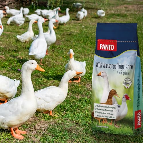 PANTO Hühnerfutter Wassergeflügelkorn 25 kg – Geflügelfutter zur Geflügelzucht für Enten, Gänse, Puten, Junghennen, Masthühner, Strauße