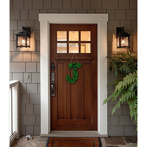 Modern Home 12" Real Preserved Boxwood Monogram Wreath Letters - G #TOP1