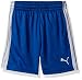 PUMA Big Boys' Performance Poly Short, True Blue Stripe, Medium (10/12)