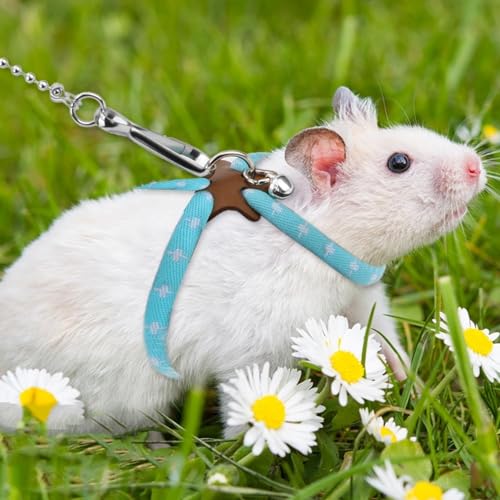 Image of Hamster Harness,80cm /31.5in Adjustable Small Animal Training Leash Harness Chinchilla Vest and Leash Set Soft Animal Pet Rope Harness for Small Pet Outdoor Walking(Blue)