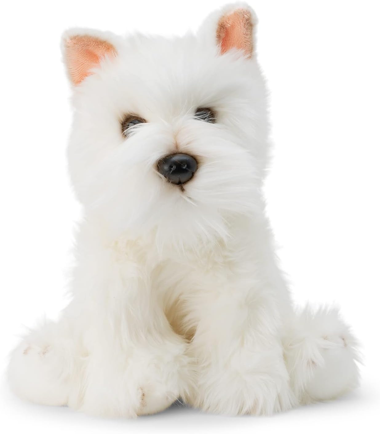 Westie Dog