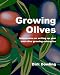 Growing Olives: Information On Setting Up Your Own Olive Growing Enterprise