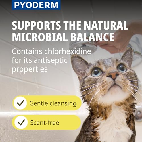 PYODERM GLYCOTEC Shampoo für Hunde und Katzen, 250 ml