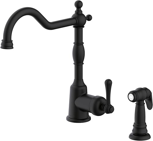 Danze Opulence - Llave de cocina simple con manija única y rociador lateral, D401157BS