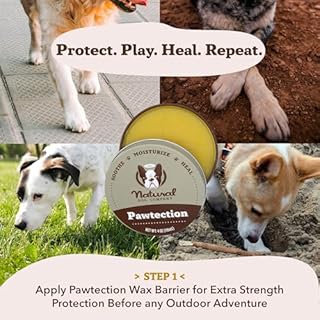 Natural Dog Company PawTection Balm 2 oz Stick – Dog Paw Protection Wax with Shea Butter & Calendula – Shields Paws from Snow, Ice, Salt, Hot Pavement & Rough Terrain – Lick-Safe, Vegan