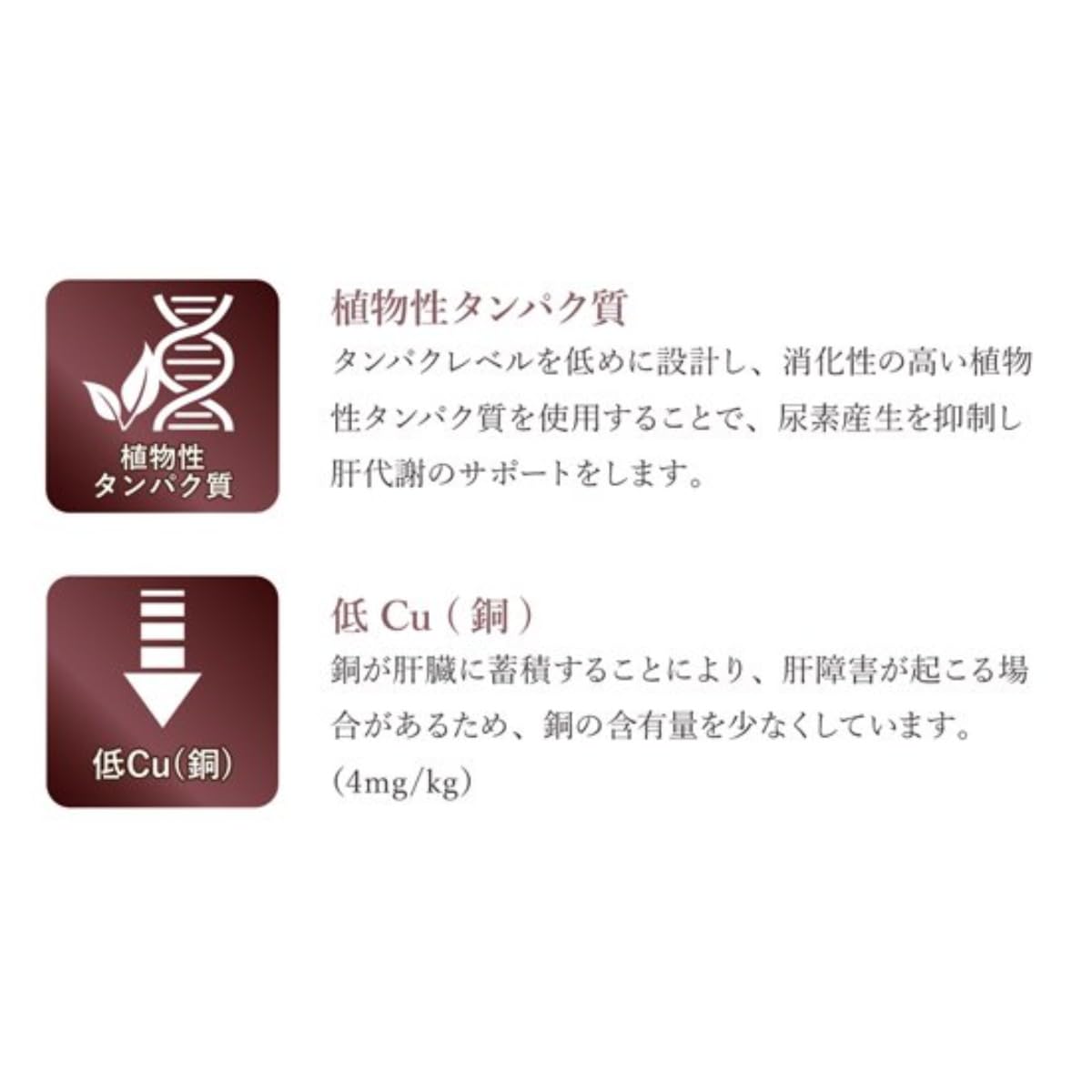 Amazon.co.jp: ベッツソリューション VetSolution Monge ドッグフード