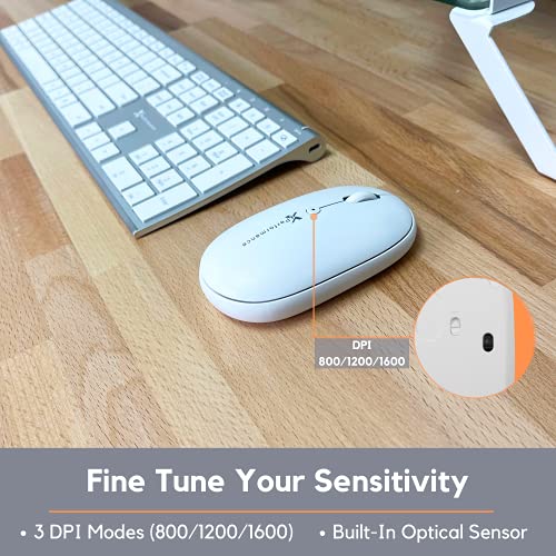 X9 2.4G Wireless Mouse - Quiet and Comfortable Computer Mouse with USB Receiver and 3 Adjustable Levels - Cordless Mouse Wireless Mice for Windows Mac PC Notebook Chromebook