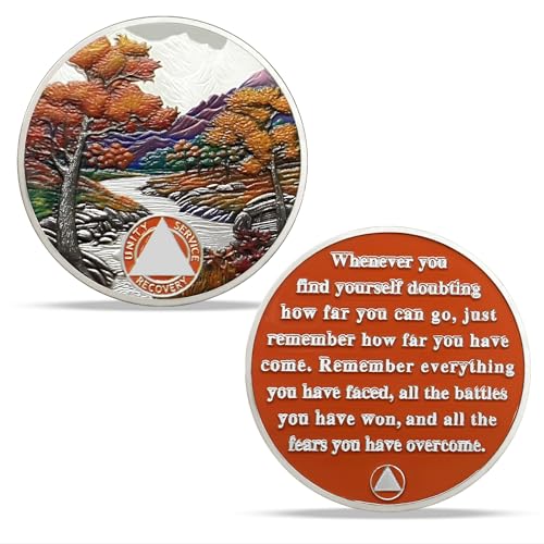 Image of Imasoner 9 Month Sobriety Coin, Autumn Seasons AA Medallion Recovery Chip