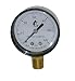 Swimming Pool or Spa Filter Pressure Gauge, Side Mount 60LB Filter Pressure Gauge 1/4