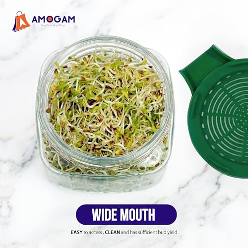 Image of Sprouts Maker Glass Jar - 950ml Large Sprouts Maker Jar for Home Use | BPA-Free Sprouting Jar with Drain Lid Handle | Reusable Glass Sprout Maker Jar for All Seeds and Beans (Green - 2pcs)