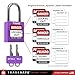 TRADESAFE Lockout Tagout Locks Set - 10 Purple Loto Locks, Lockout Locks Keyed Different, 2 Keys Per Lock, OSHA Compliant Lock Out Tag Out Padlocks, Safety Padlocks for Electrical Lockout Tag Out Kits