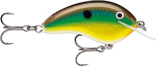Ott's Garage Tiny 04 Bream