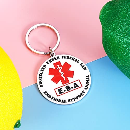 Double-Sided ESA Tag Keychain for Pet Dog Emotional Support Animal Red Medical Alert Symbol Puppy Kitten Collar Vest Tag Service Animals Dogs Cats