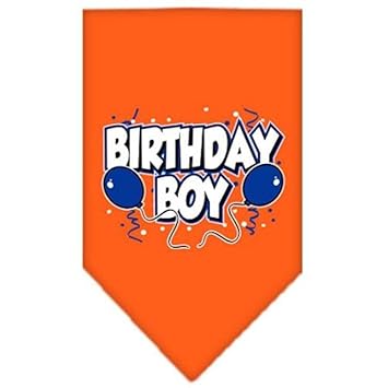 Mirage Pet Products Birthday Boy Screen Print Bandana for Pets, Large, Orange