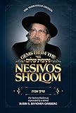 Gems from the Nesivos Shalom: Pirkei Avos
