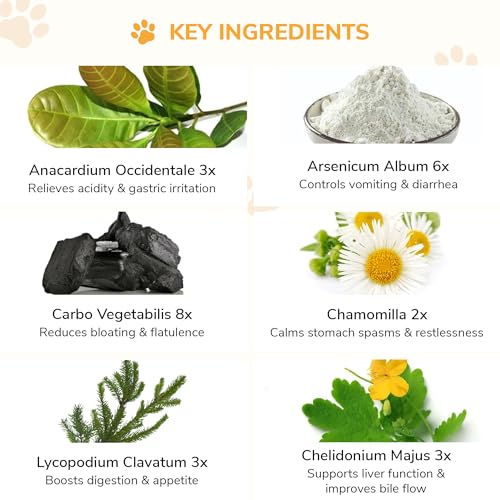 Bakson Veterinary | V-2 Stomach Drops | Indigestion Stomach Drops for Pets | Flatulence | Vomiting | Gut Health | No Side Effects | Safe Homoeopathy Medicine | 30ML