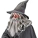 elope Men's Gandalf Hat