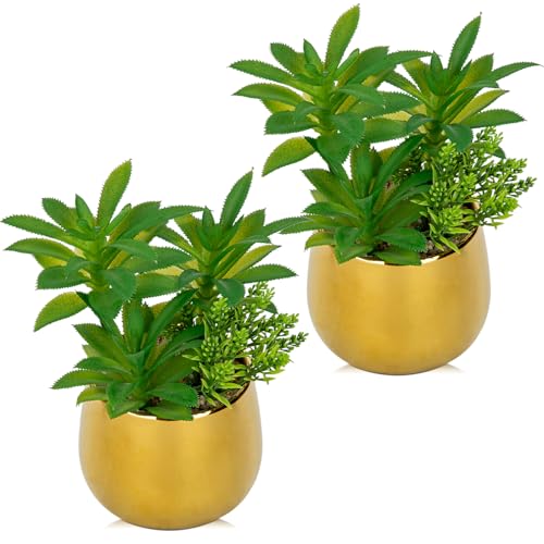 Briful Artificial Succulents Plants in Ceramic Pots, 2 Pack Faux Succulent Set with Gold Planters – Modern Desk Decor for Home Office Shelf Bathroom, Small Fake Plants Potted