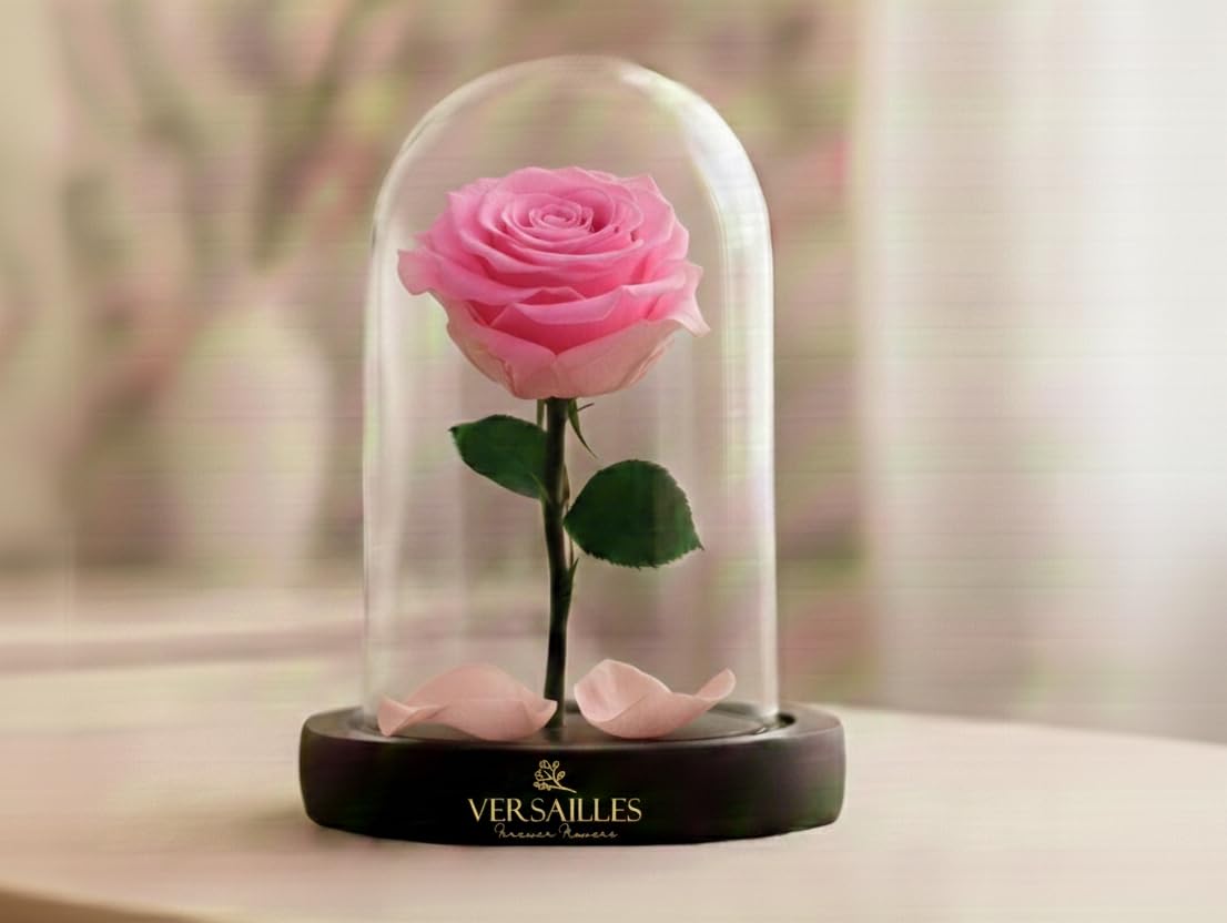 Versailles Preserved Pink Rose in Glass Dome | Black Wooden Base | Long Lasting Infinity Rose Romantic Anniversary, Birthday or Valentine’s Day Present-image-4