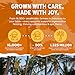Big Tree Farms Organic Brown Coconut Sugar - Coconut Palm Sugar, Unrefined, Fine Crystals, Cane Sugar Replacement, Coconut Blossom Nectar, Vegan, Perfect for Baking - 1 Pound (Pack of 1)