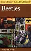 A Field Guide to the Beetles: of North America: White