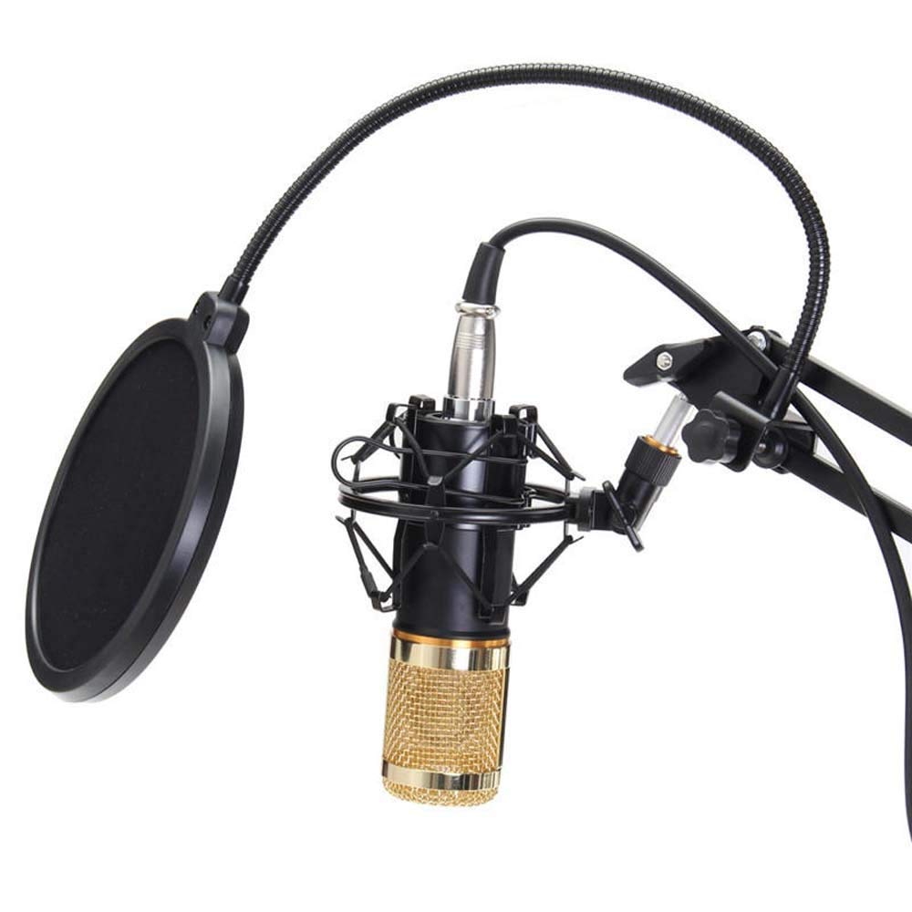 Supporto per Microfono, Microfono a condensatore, Sistema dinamico, Kit con Supporto antivibrazione, Asta per Microfono Professionale, Asta per Microfono