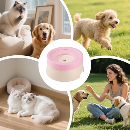 Gamelle à eau pour chat 600 ml et bol anti-glouton pour chien