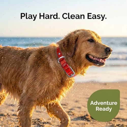 Image of Waterproof Dog Collar - Washable, Stink-Proof & Dirt-Proof - Soft, Odorless, Easy to Clean - Fade-Resistant, Durable for Medium & Large Dogs - Rust-Proof Metal Buckle (Red-M 1 inch)