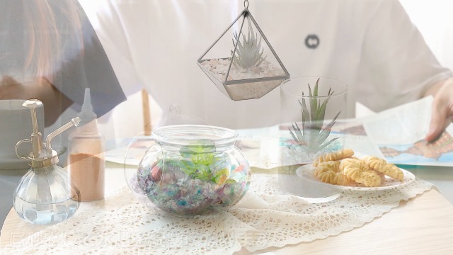 化粧砂 観葉植物 砂利 水槽底砂 園芸用石 防草飾り 盆栽砂 造園装飾 水栽培用 Amazon | TARATI 化粧砂 観葉植物 玉石 砂利 水槽底砂 園芸用砂 防草