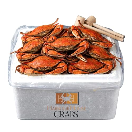 Maryland Steamed Blue Crabs – Jumbo Hardshell (6.5–7 in), Fresh Freshly Steamed Seafood with Mallets & Crab Paper Included, Crab Feast Kit for Delivery pack of 6