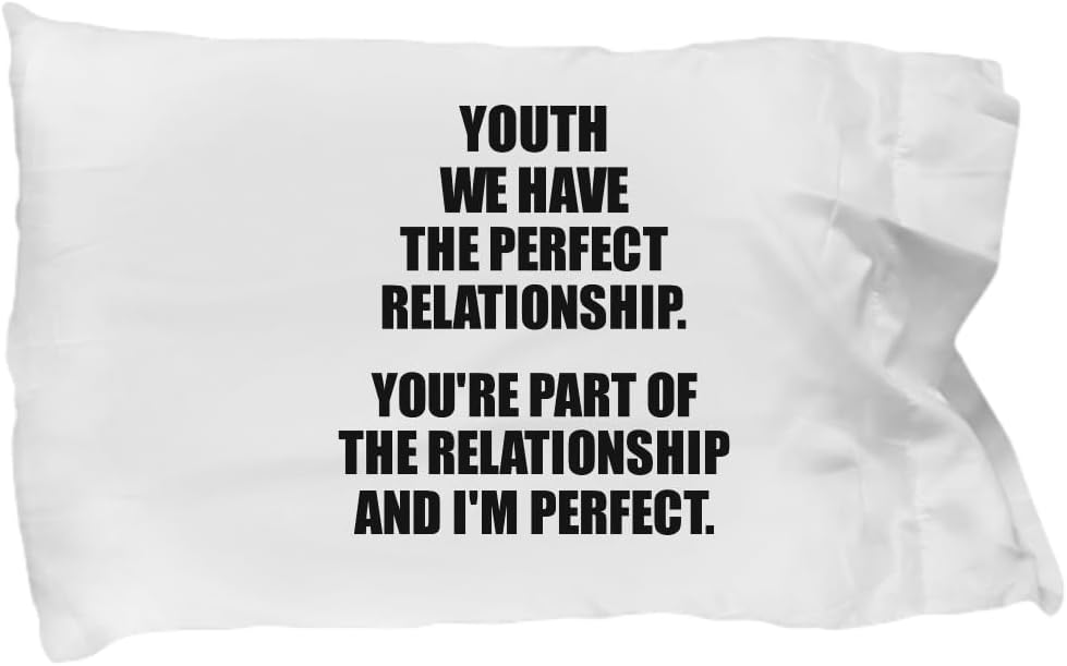 EzGift Funny Youth Pillowcase We Have The Perfect Relationship Funny Sarcastic Gift Pun Quote Gag Joke Pillow Cover Case 20x30