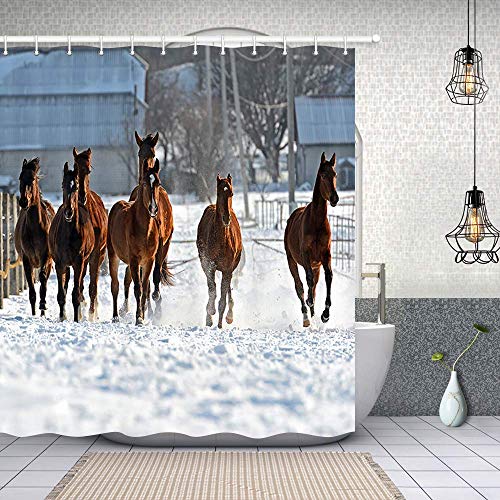 Horse Shower Curtain Le Meilleur Prix Dans Amazon Savemoney Es