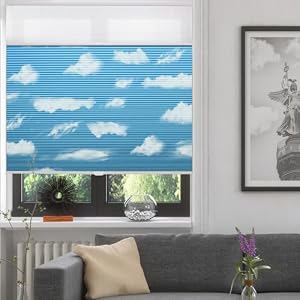 Manual TDBU Blackout Cellular Shade (Blue Sky) | Top Down Bottom Up light and privacy honeycomb insulation for energy efficiency day night upgrade UV protection