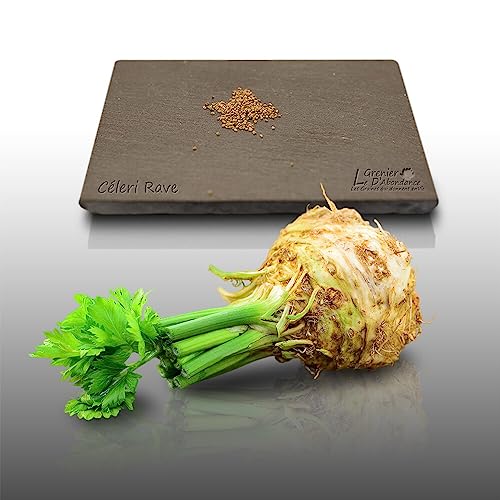 100 graines Aromatiques à semer - Le Grenier d'Abondance - CÉLERI Rave - Apium graveolens
