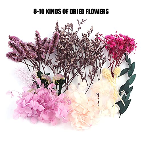 Foglie Misti Misti Naturali Secchi Foglie Naturali...