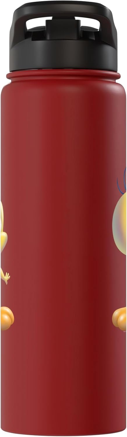 Looney Tunes Tweety Bird Airbrushed Stainless Steel Insulated Water Bottle