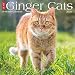 Just Ginger Cats 2020 Wall Calendar