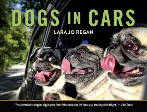 Dogs in Cars