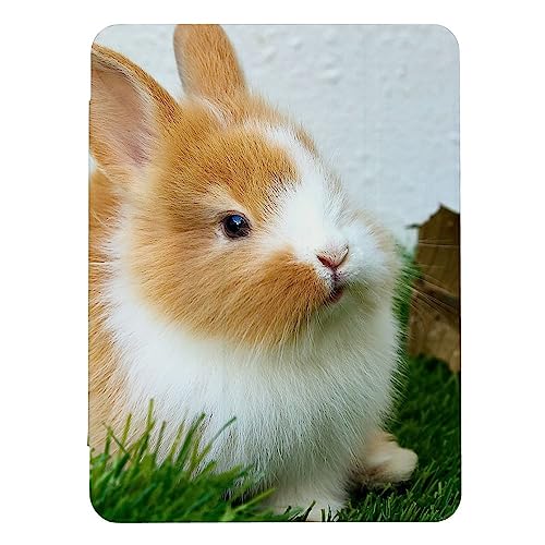 iPad mini ��6���� 8.3�C���` �Ή� �P�[�X �J�o�[ A2567 A2568 A2569 �A�C�p�b�h�~�j6 iPad mini6 2021 ������ �ʐ^ ������� ���� 03 ���킢�� �L�b�Y �q��