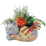 Sunnydaze Finley The Fox Plantador estatua Decoración – MgO pintado a mano para interior suculenta o maceta para cocina, comedor o sala de estar – 8 pulgadas