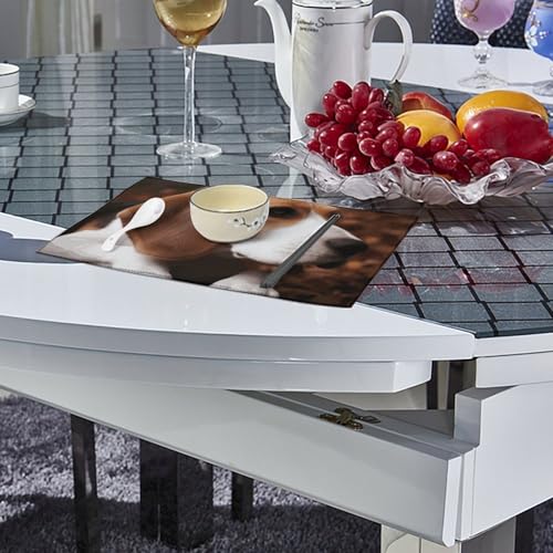 Sets de table Beagle lavables et antidérapants pour stopper les taches en cuisine