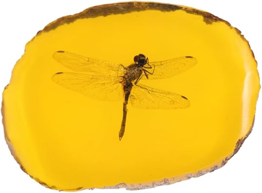 Amber Stone Pendant with Dragonfly Specimen, Yellow Resin Ornament