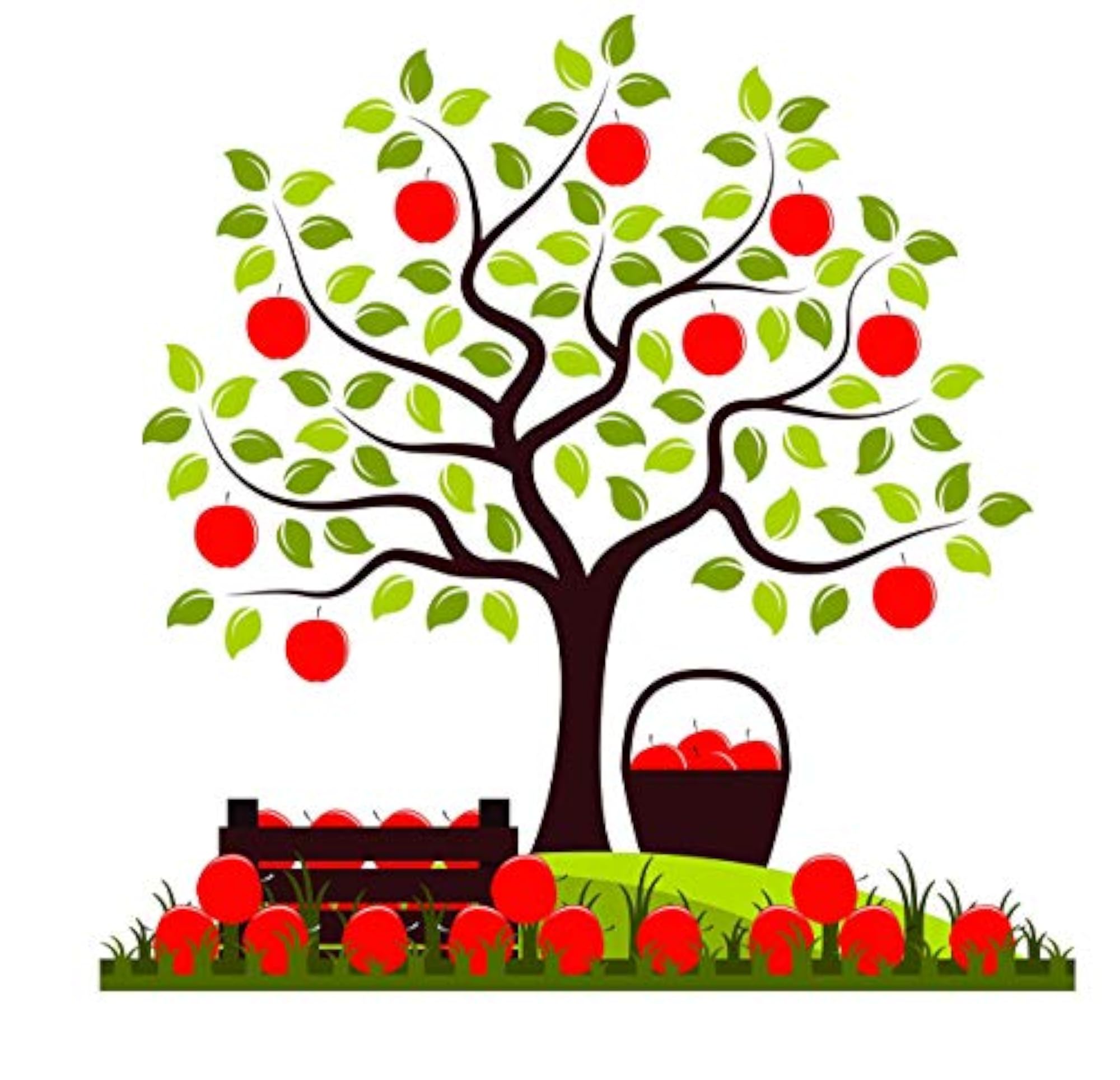 Tree Branches & Fruit Basket Art Wall Decal/Sticker