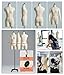 Styrofoam Pinnable Female Manikin Dress Form, Sewing Online Adjustable Dressmakers Dummy Model, Commercial White Upper Torso Mannequin (No Arm-88#